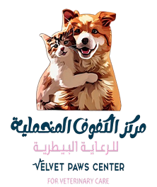 alkofoufvetclinic.com
