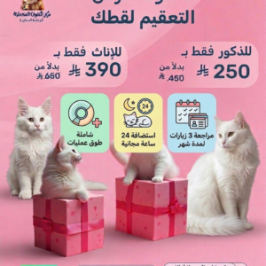 تعقيم القطط