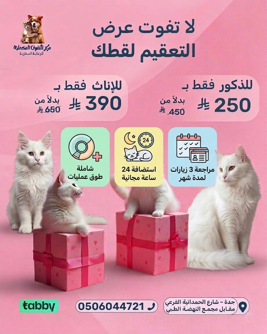 تعقيم القطط