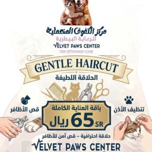 مركز العناية بالقطط