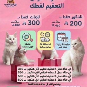 تعقيم القطط