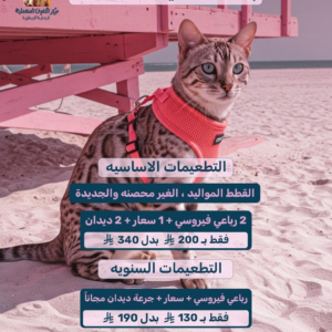 تطعيمات القطط