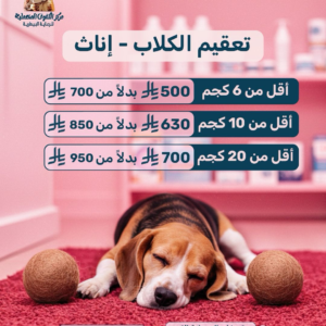 تعقيم الكلاب الإناث